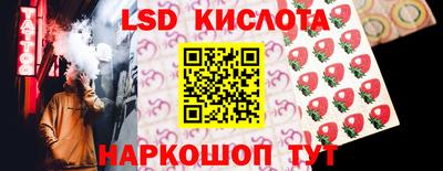 стаф Сланцы