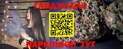стаф Сланцы