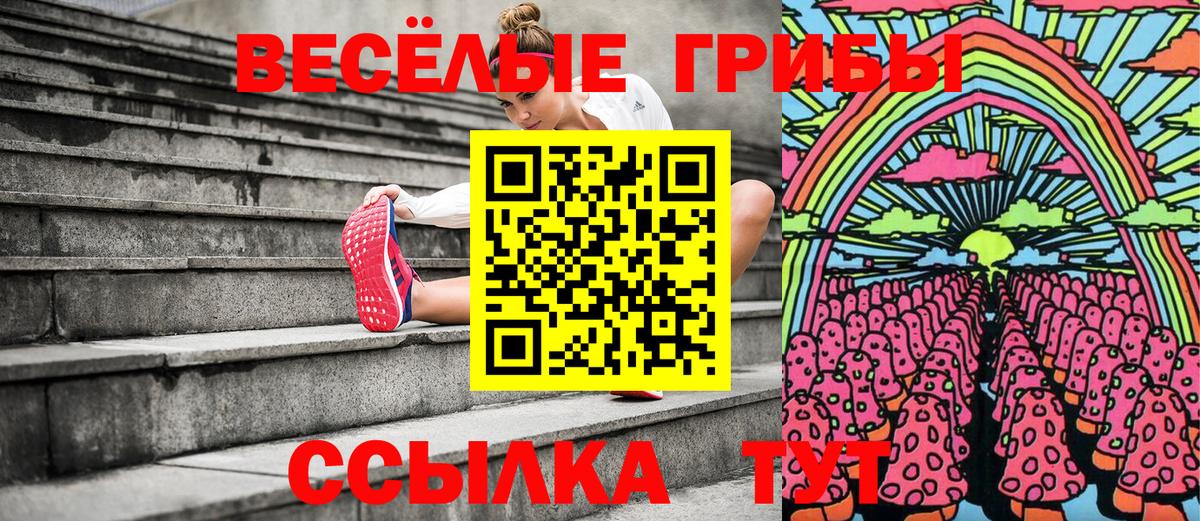 Псилоцибиновые грибы Psilocybe Пушкино