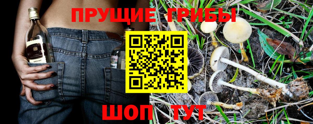 хочу наркоту  Галлюциногенные грибы прущие грибы  Вход с VPN  Пушкино 
